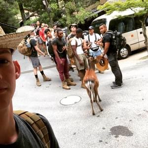 Meet your Posher, Will